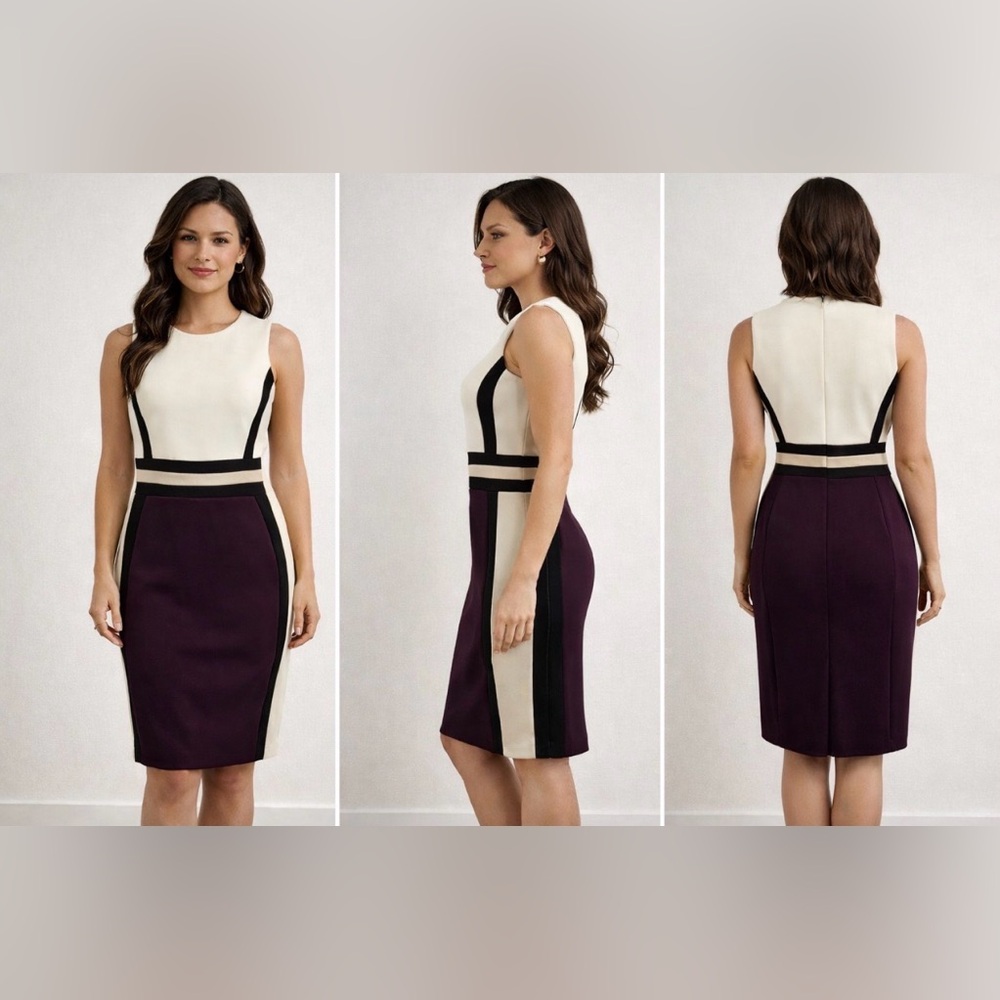 Calvin Klein Dress 8 Black Tan Plum Ivory Stretch Scuba Career Church